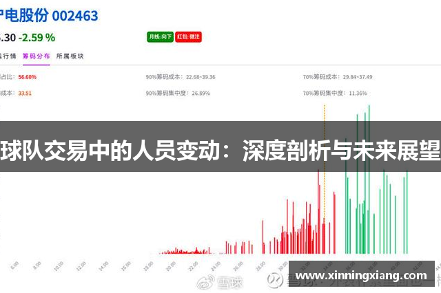 球队交易中的人员变动：深度剖析与未来展望