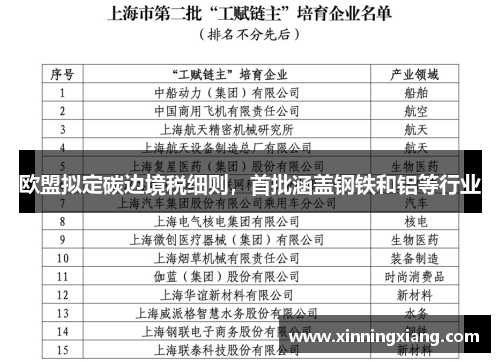 欧盟拟定碳边境税细则，首批涵盖钢铁和铝等行业